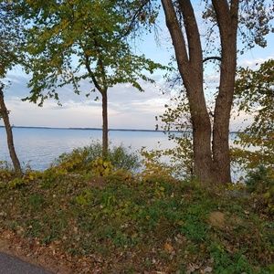 Meet your Posher, Jalayne